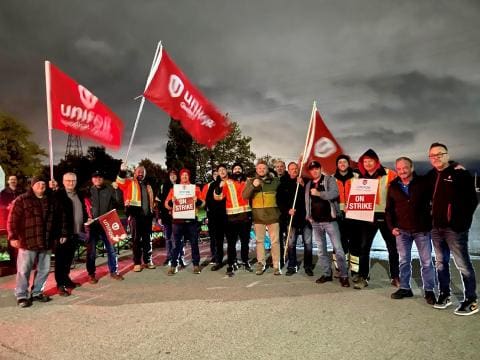 Manifestants avec drapeaux d'unifor en main